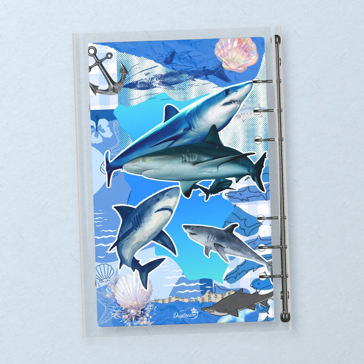 Shark Reef back cover design