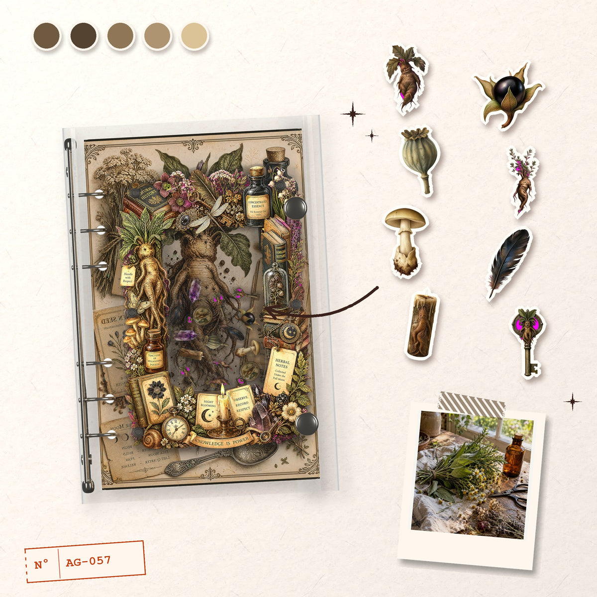 Mandrake Root design story: the charms inside and the cover