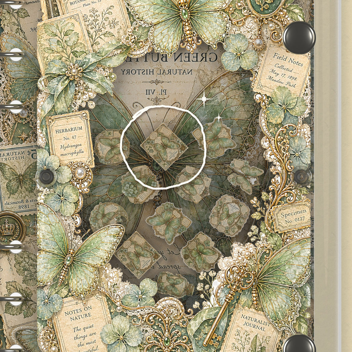 Close-up of the shaker window and charms, Emerald Butterfly