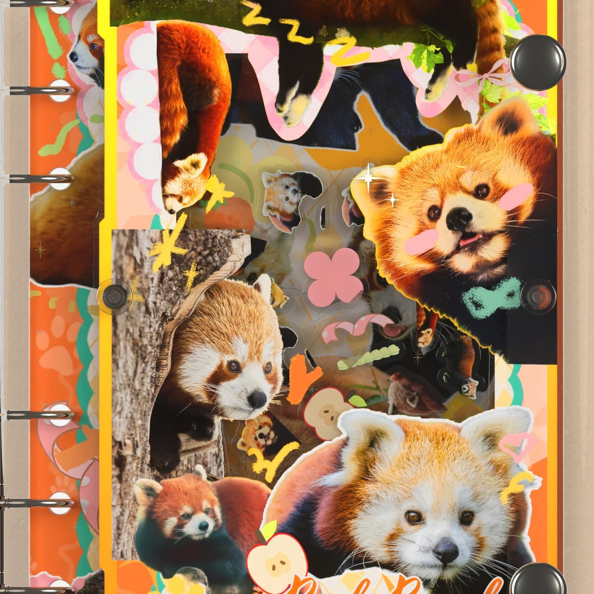 Close-up of the shaker window and charms, Red Panda