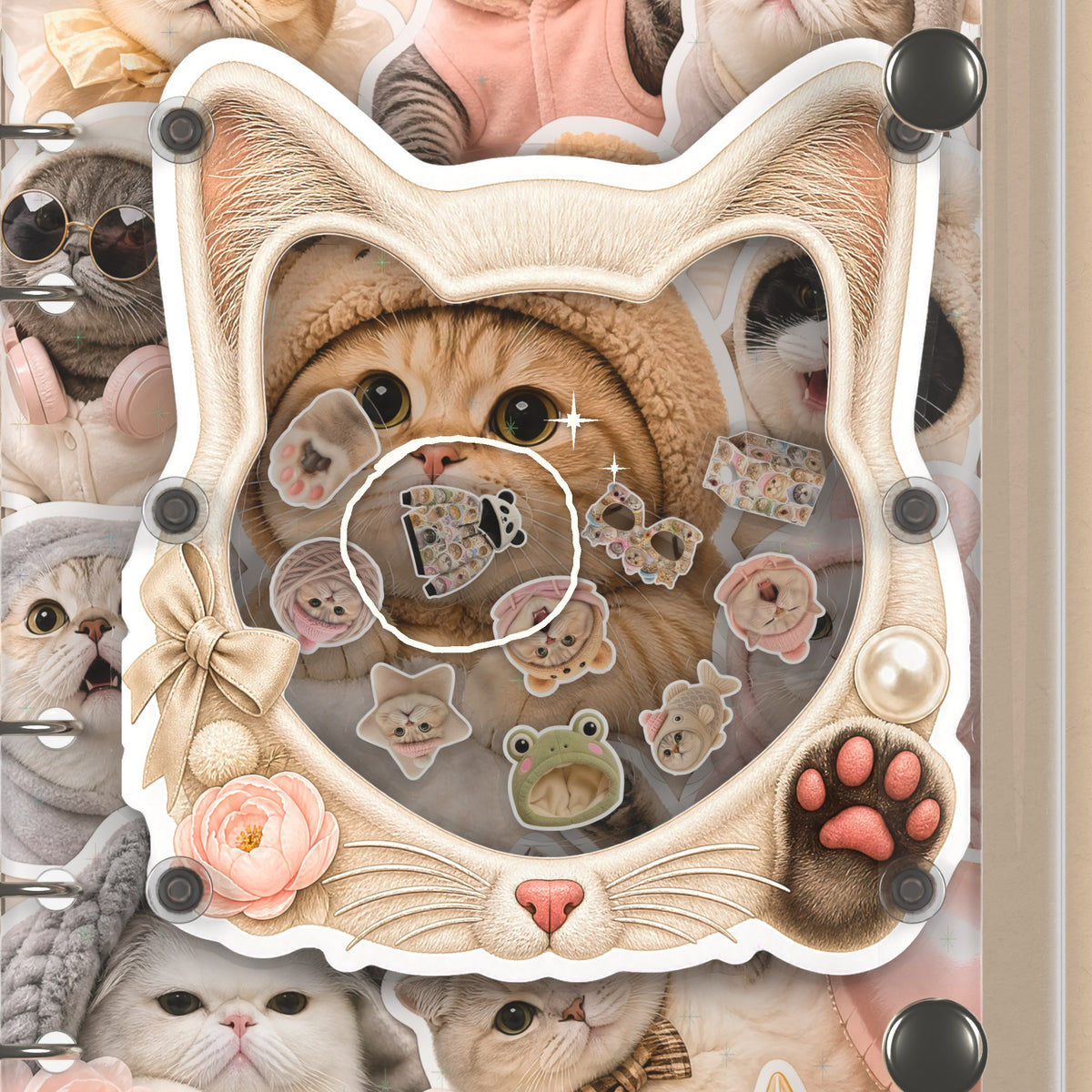 Close-up of the shaker window and charms, Meme Cats