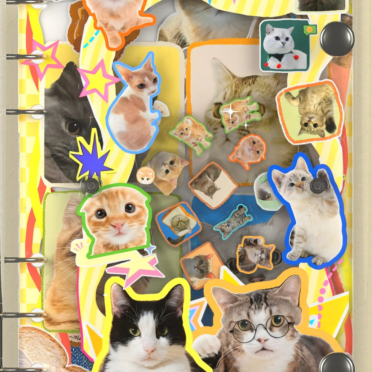 Close-up of the shaker window and charms, Cat Time Collage