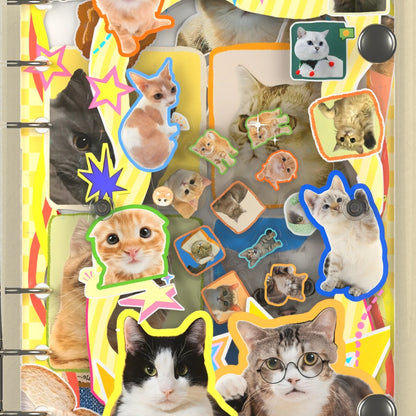 Close-up of the shaker window and charms, Cat Time Collage