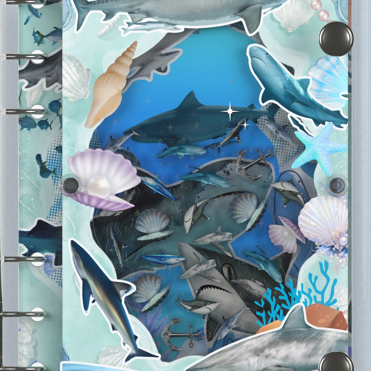 Close-up of the shaker window and charms, Shark Reef