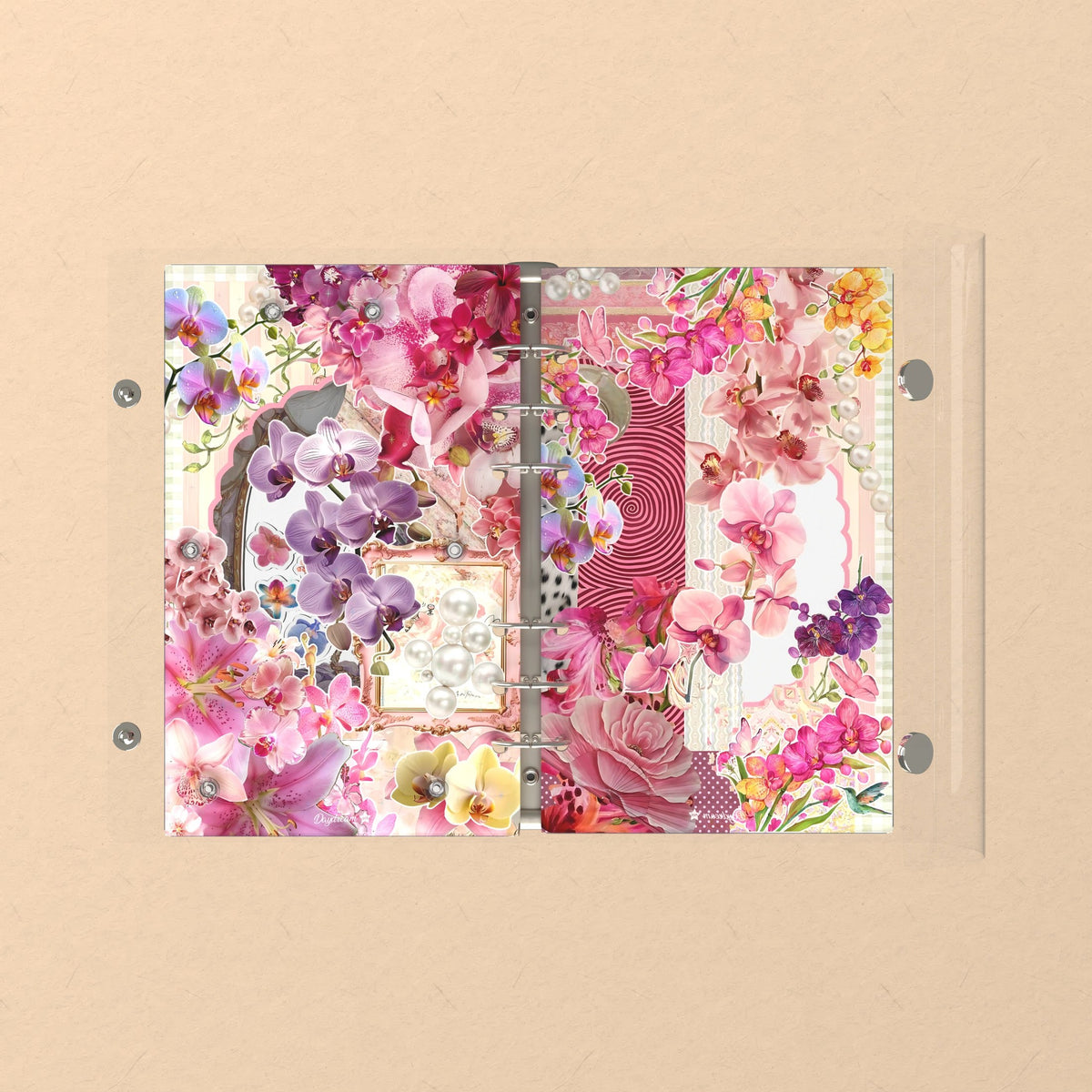 Opened flat: the inside of the front and back covers
