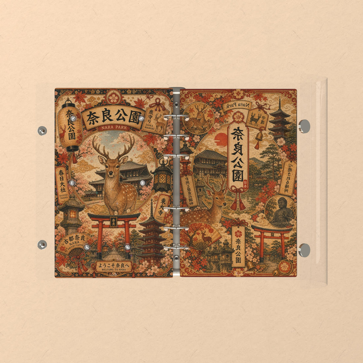 Opened flat: the inside of the front and back covers