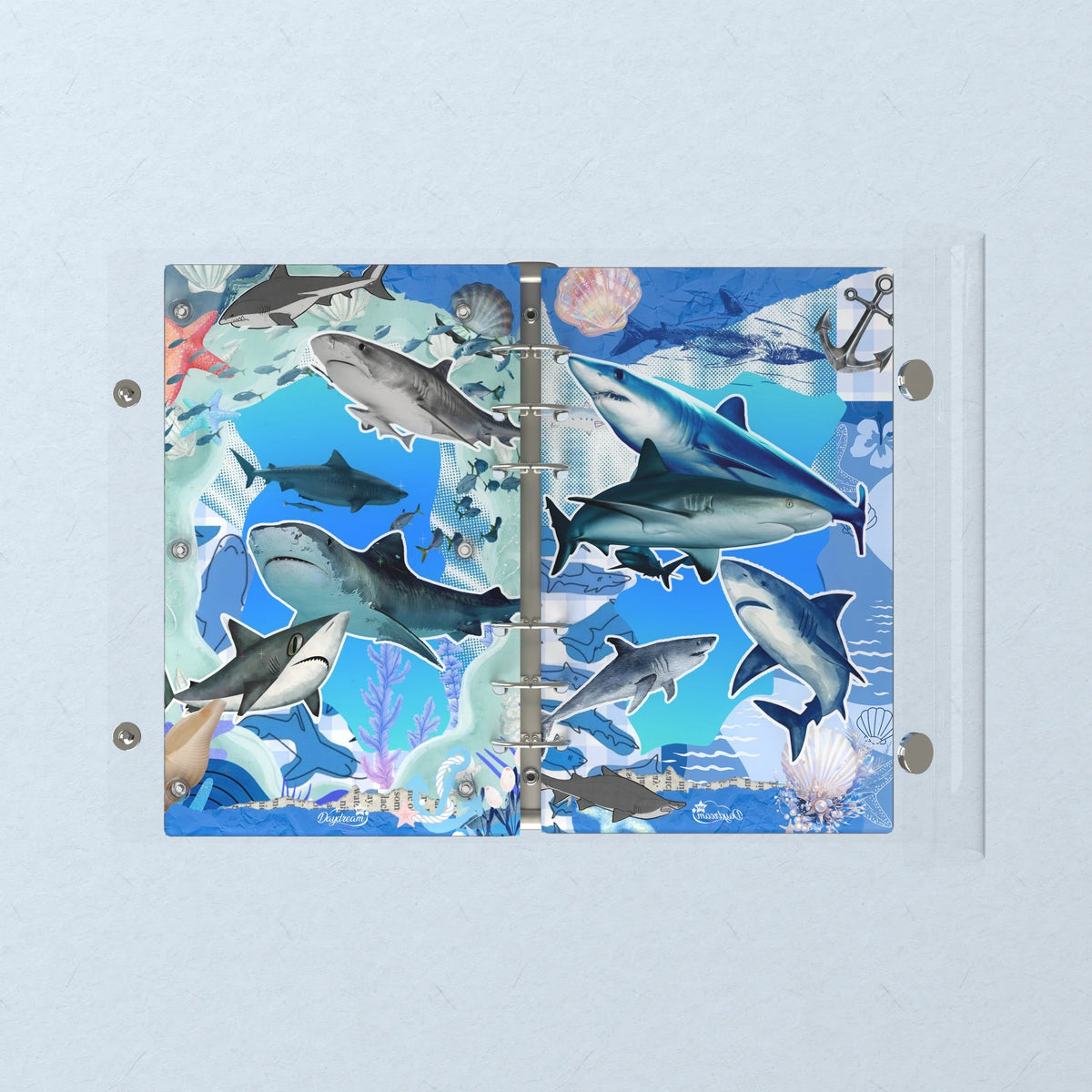 Opened flat: the inside of the front and back covers