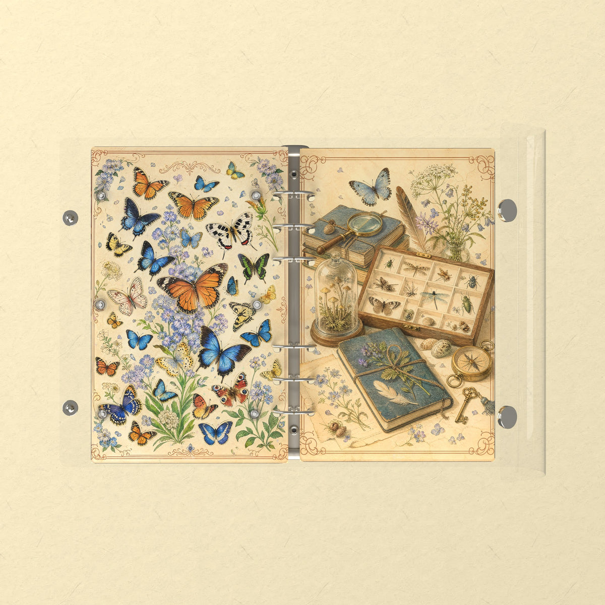 Opened flat: the inside of the front and back covers