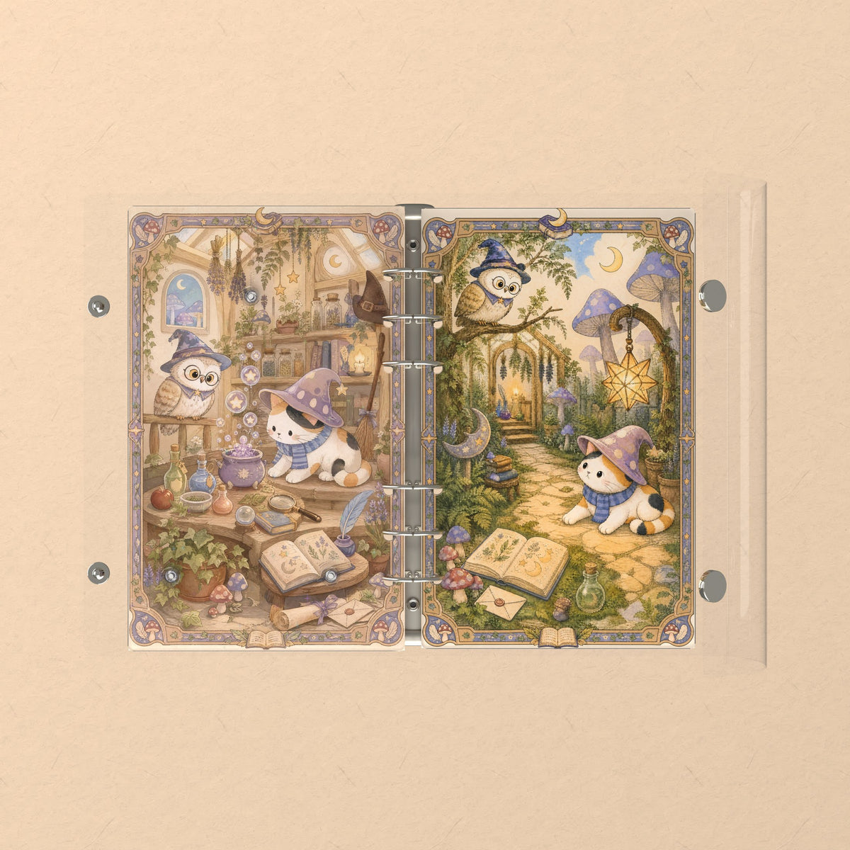 Opened flat: the inside of the front and back covers