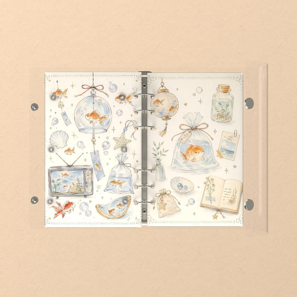 Opened flat: the inside of the front and back covers