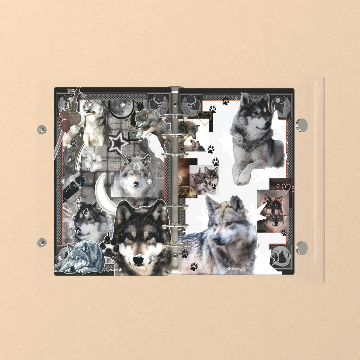 Opened flat: the inside of the front and back covers