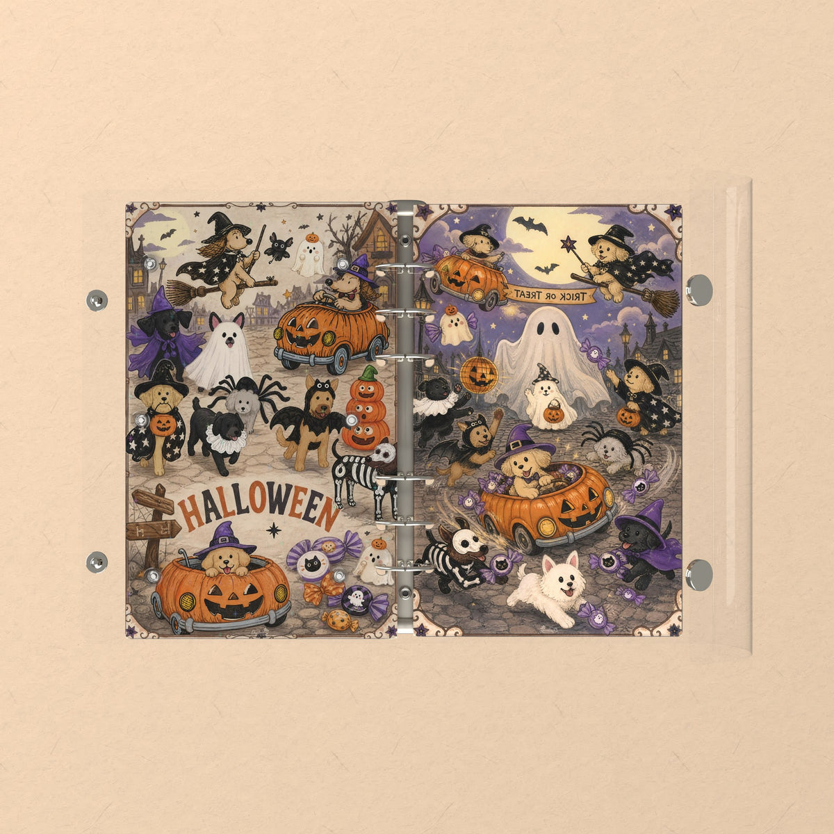 Opened flat: the inside of the front and back covers