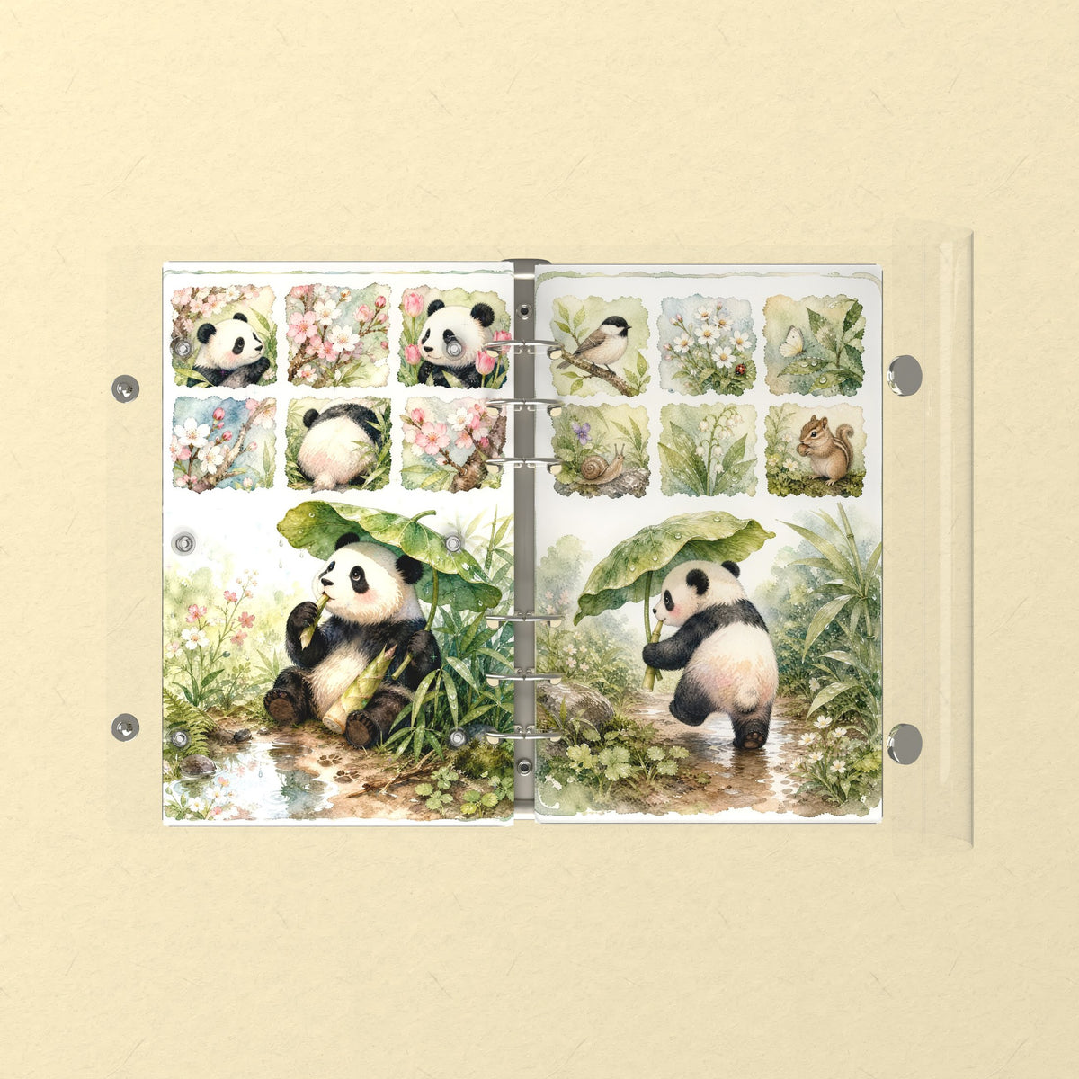 Opened flat: the inside of the front and back covers