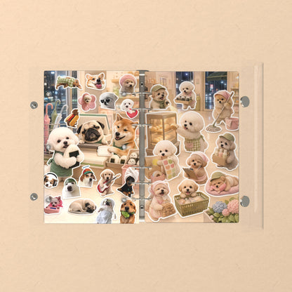 Opened flat: the inside of the front and back covers