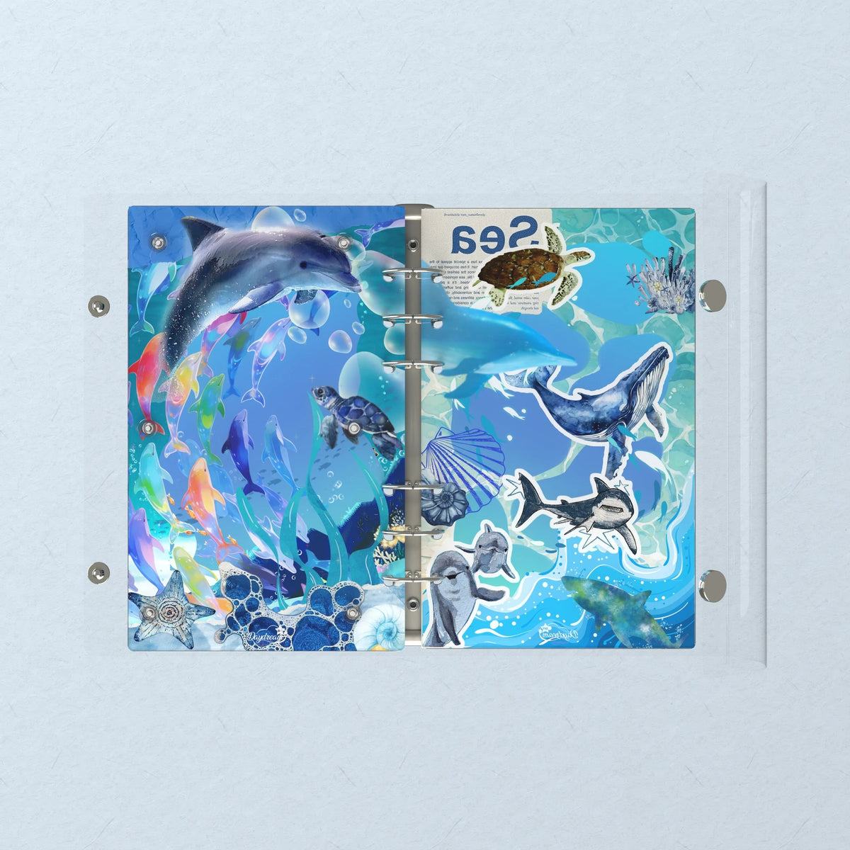 Opened flat: the inside of the front and back covers