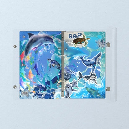 Opened flat: the inside of the front and back covers