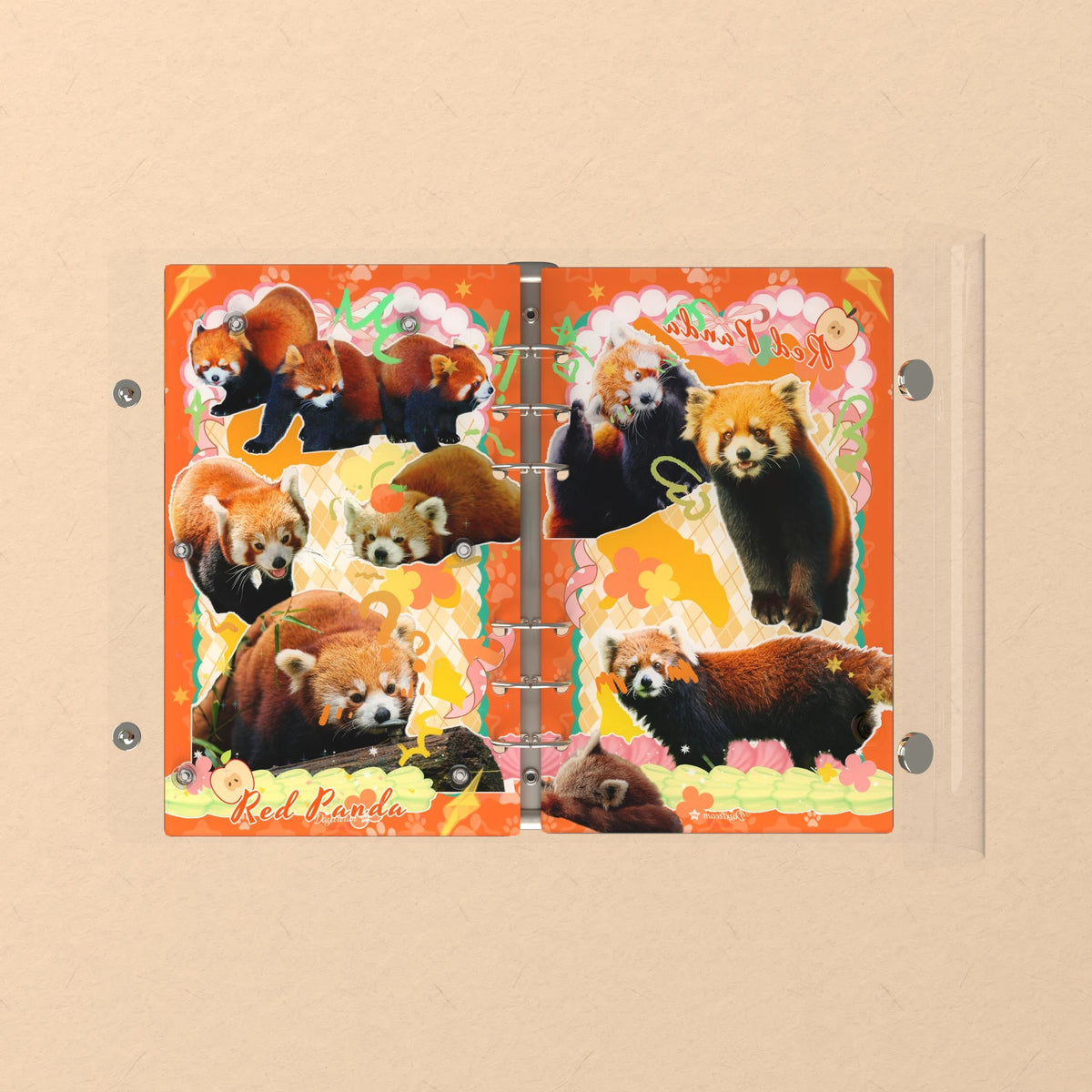 Opened flat: the inside of the front and back covers