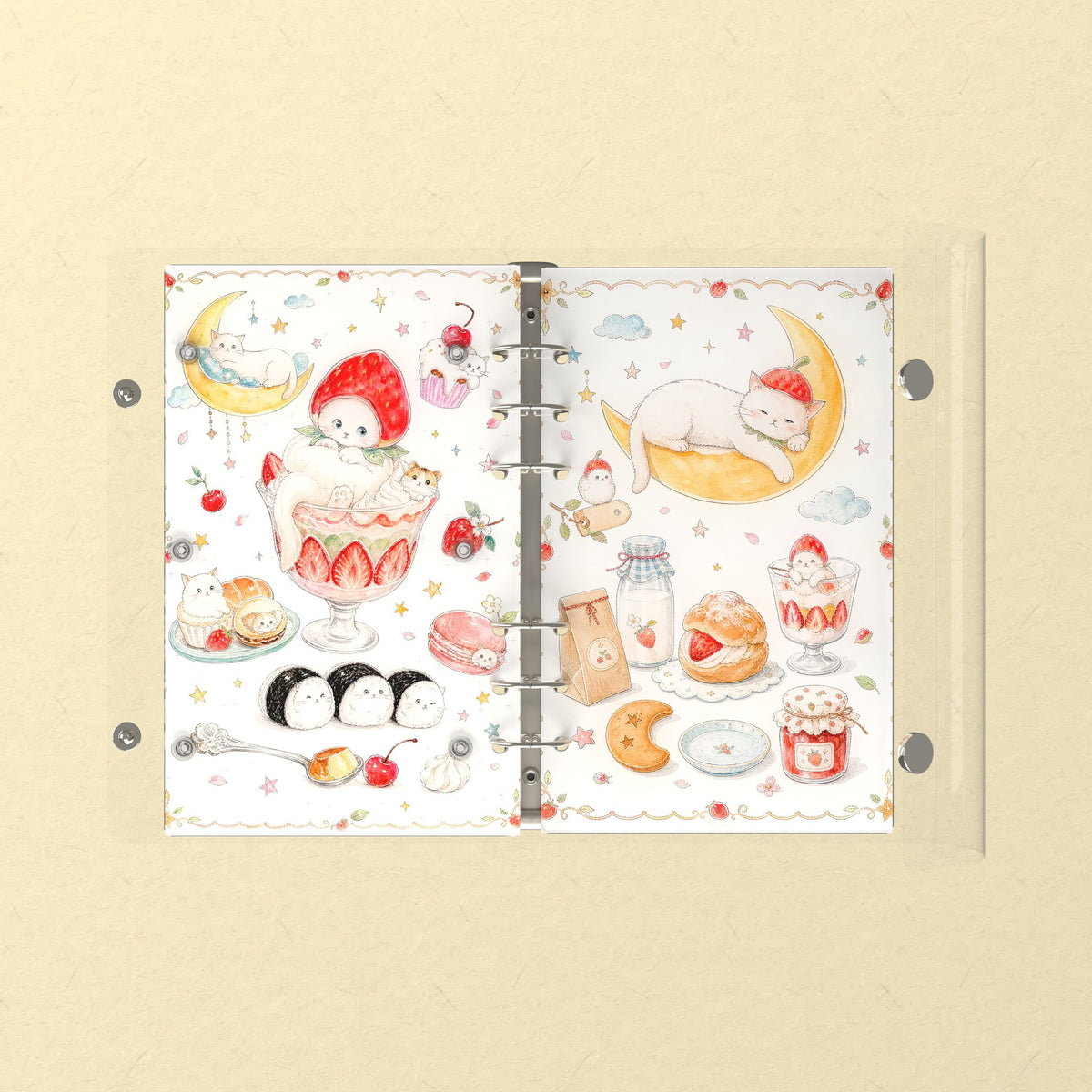 Opened flat: the inside of the front and back covers