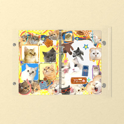 Opened flat: the inside of the front and back covers
