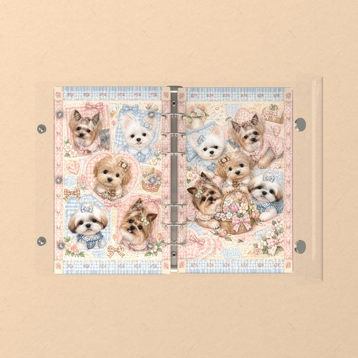 Opened flat: the inside of the front and back covers