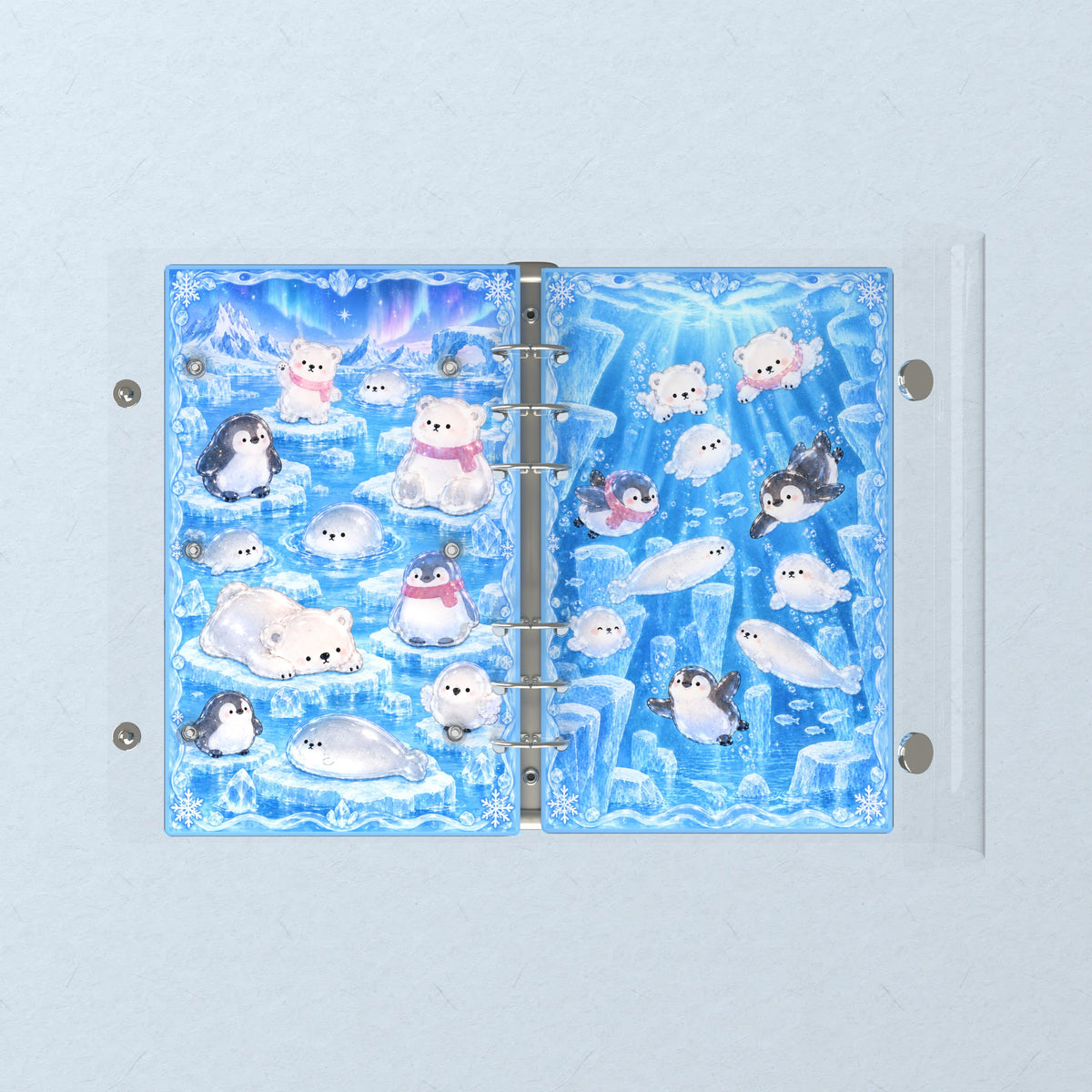 Opened flat: the inside of the front and back covers