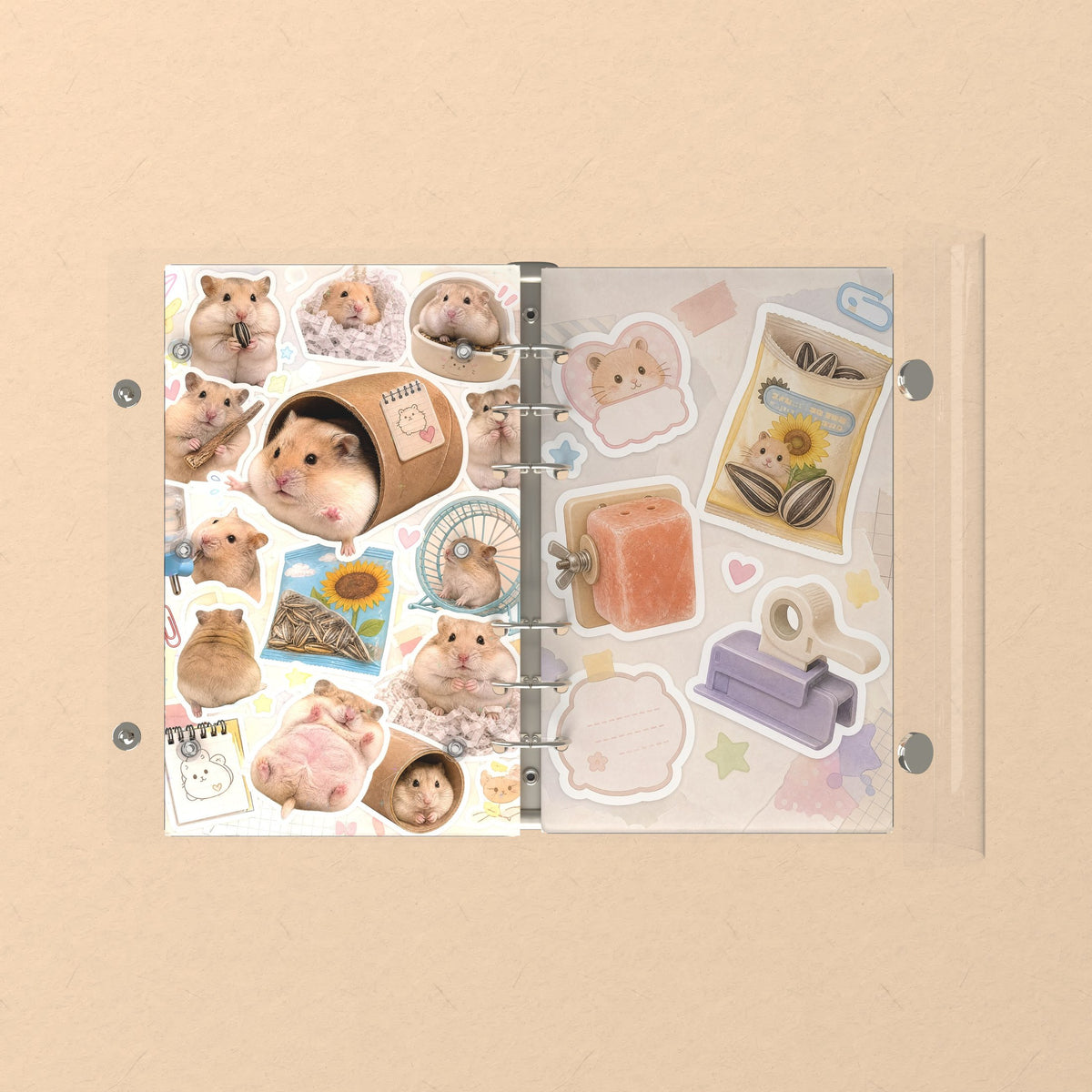Opened flat: the inside of the front and back covers