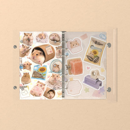 Opened flat: the inside of the front and back covers
