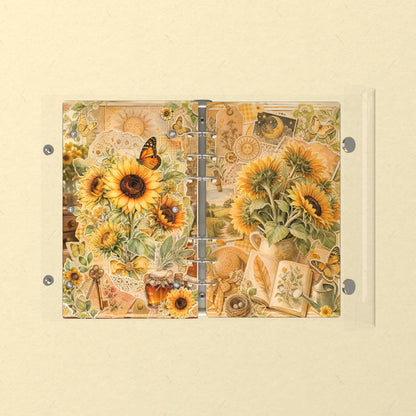 Opened flat: the inside of the front and back covers