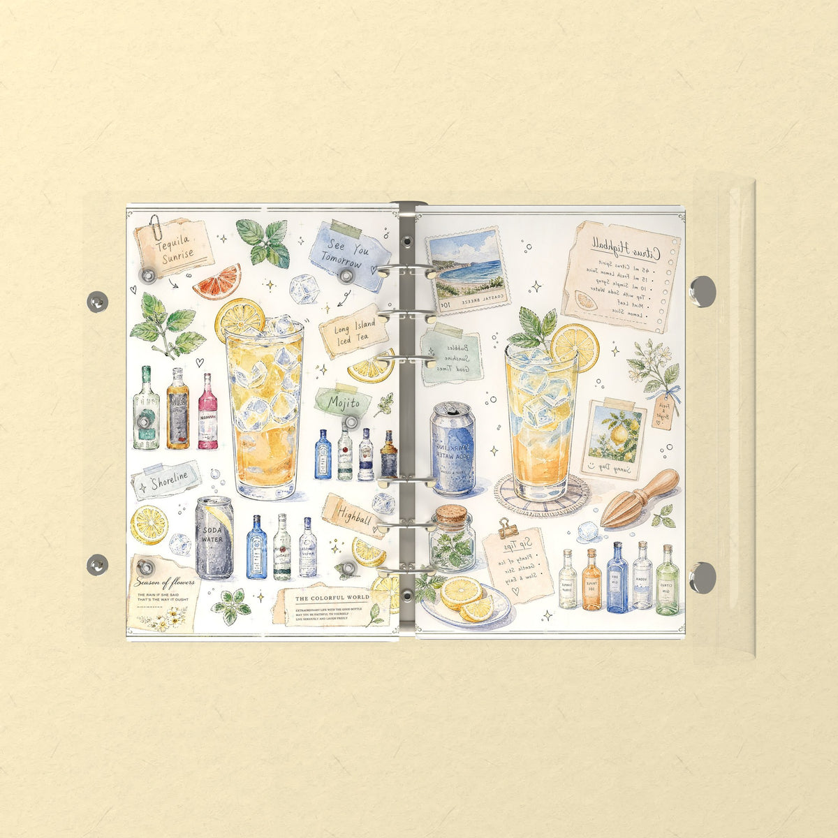 Opened flat: the inside of the front and back covers