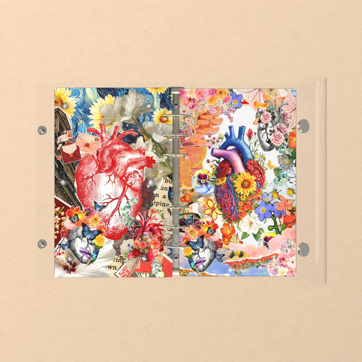 Opened flat: the inside of the front and back covers