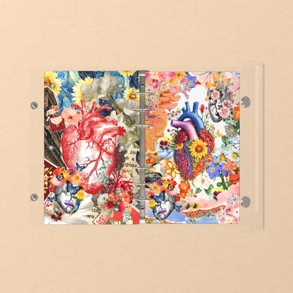 Opened flat: the inside of the front and back covers