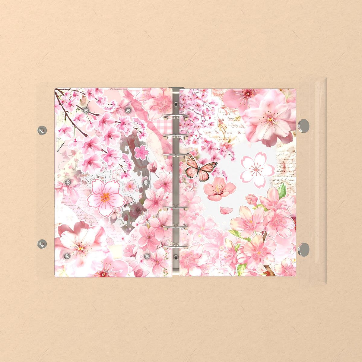 Opened flat: the inside of the front and back covers