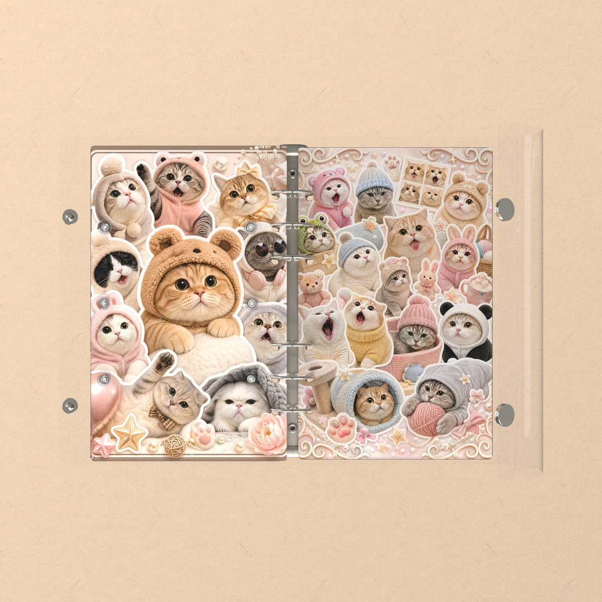 Opened flat: the inside of the front and back covers