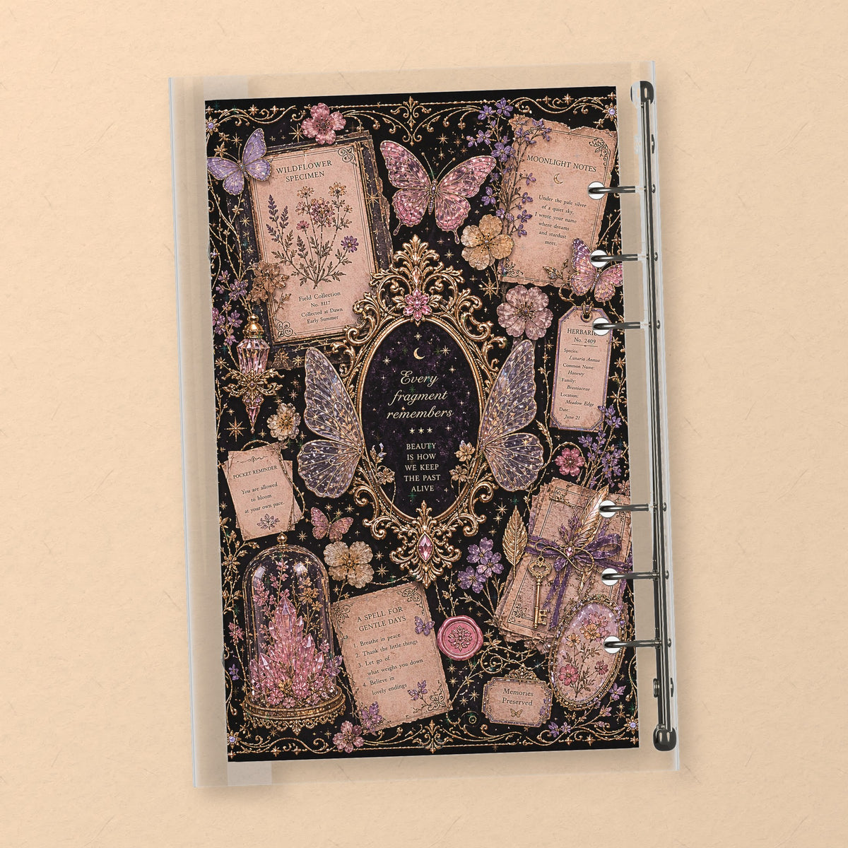 Butterfly Specimen Cards back cover design