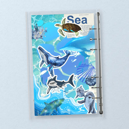 Dolphin Ocean Collage back cover design