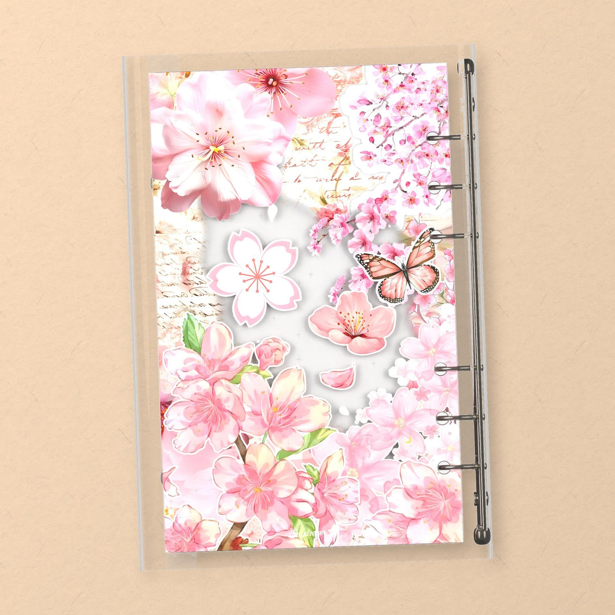 Cherry Blossoms back cover design