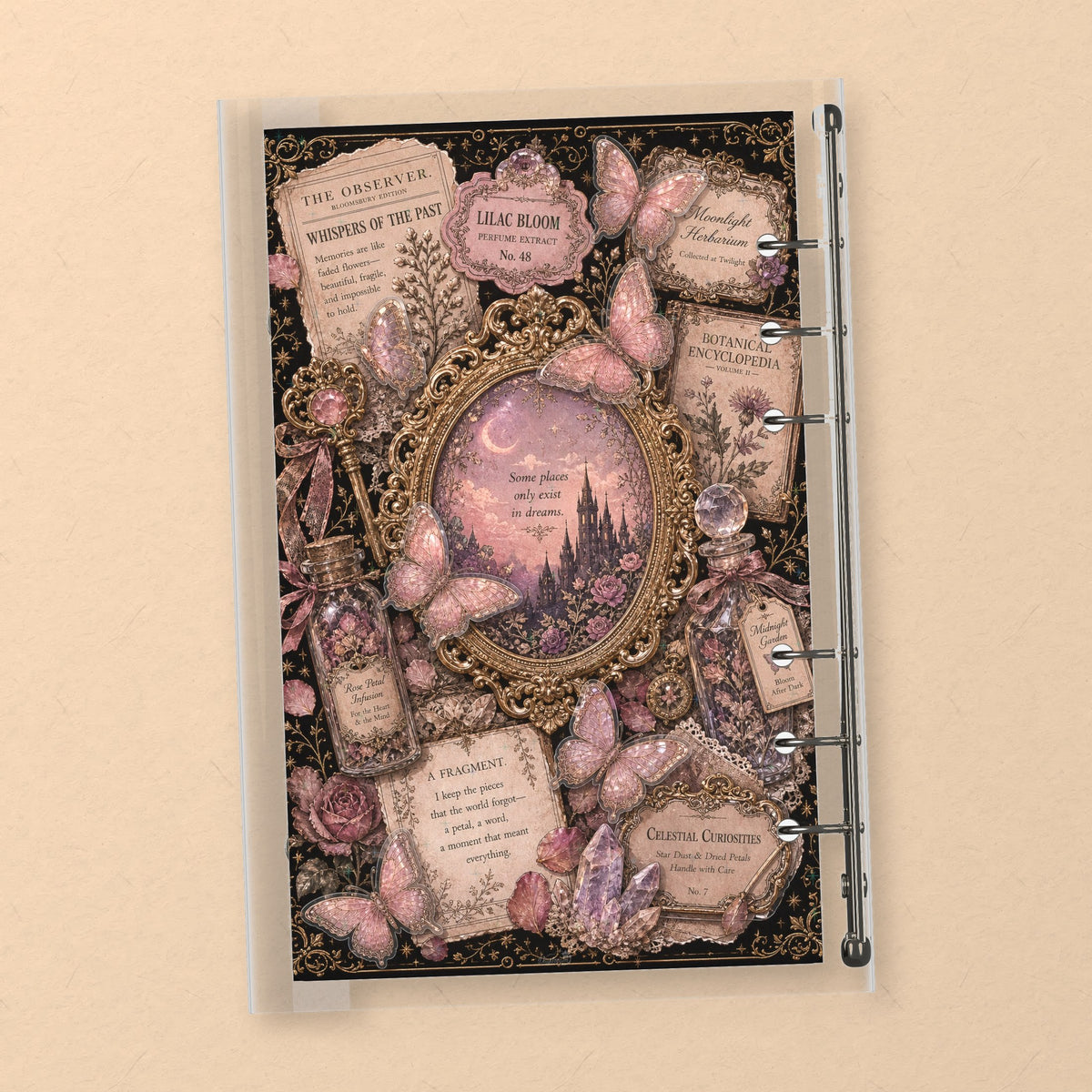 Pink Butterfly Specimen back cover design