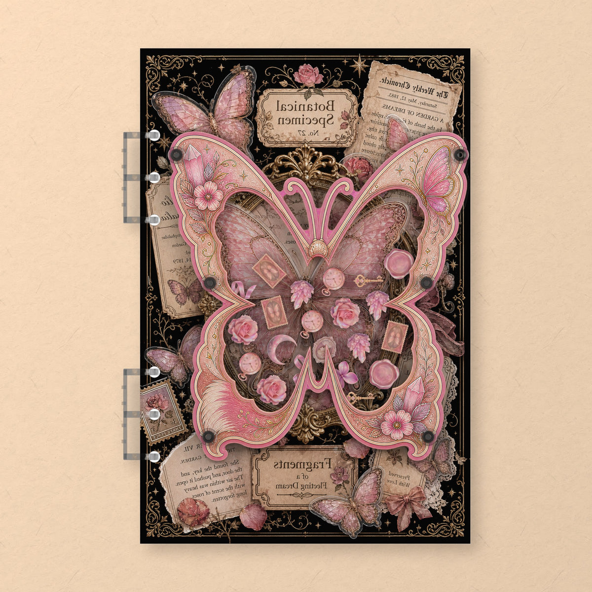 Pink Butterfly Specimen (AG-028) A5 shaker binder notebook, front cover